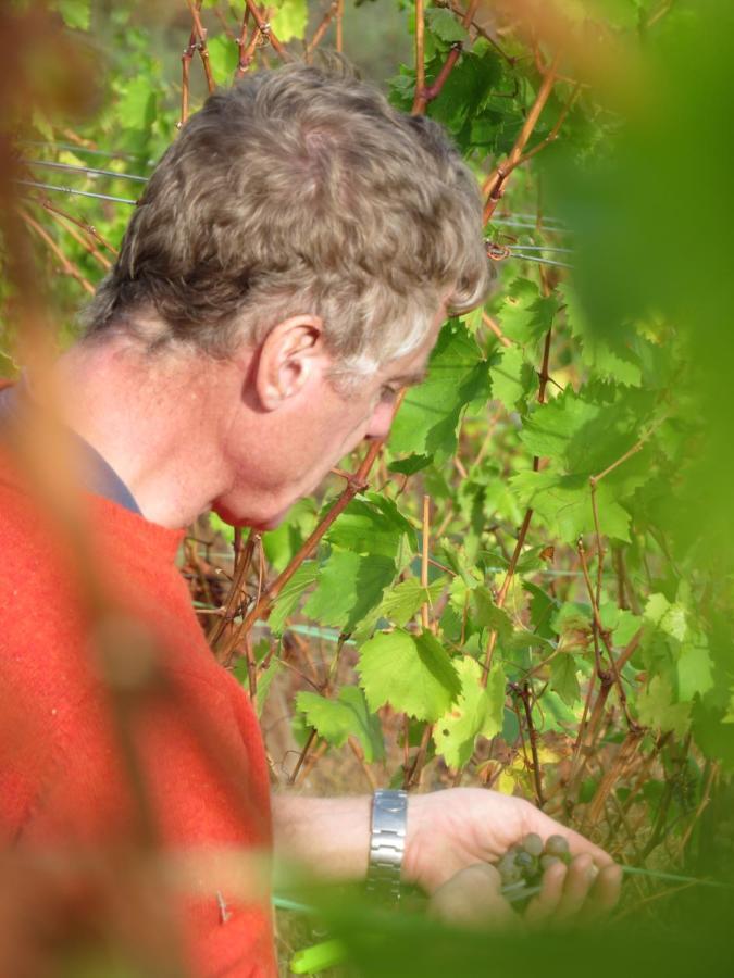 Stay At The Winemaker Ervedosa do Douro Extérieur photo