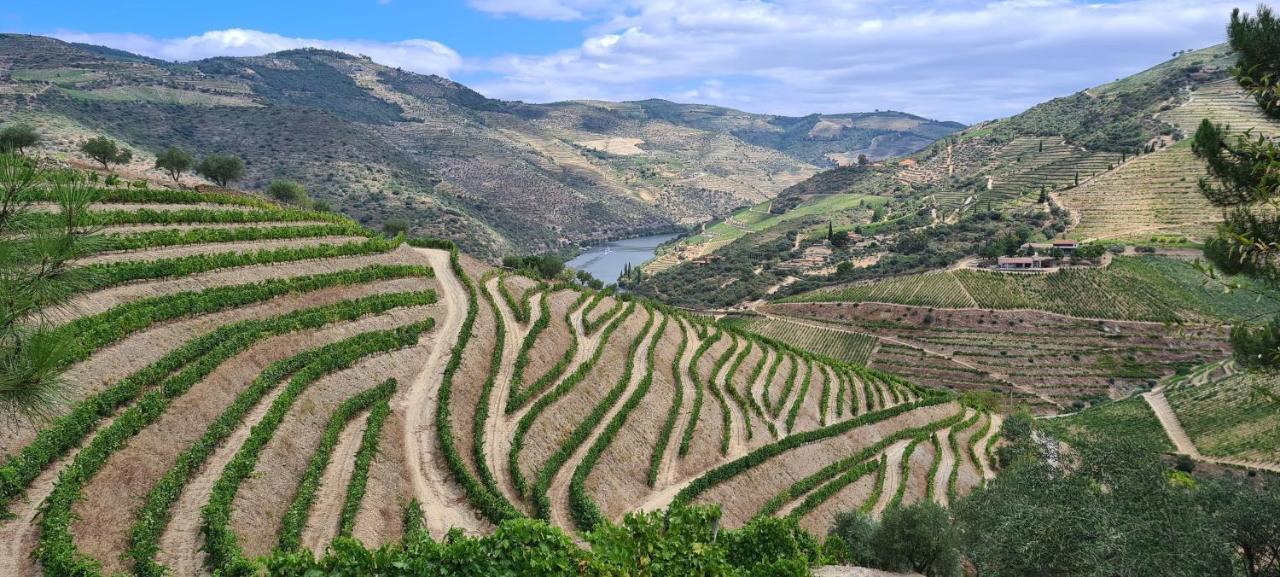 Stay At The Winemaker Ervedosa do Douro Extérieur photo