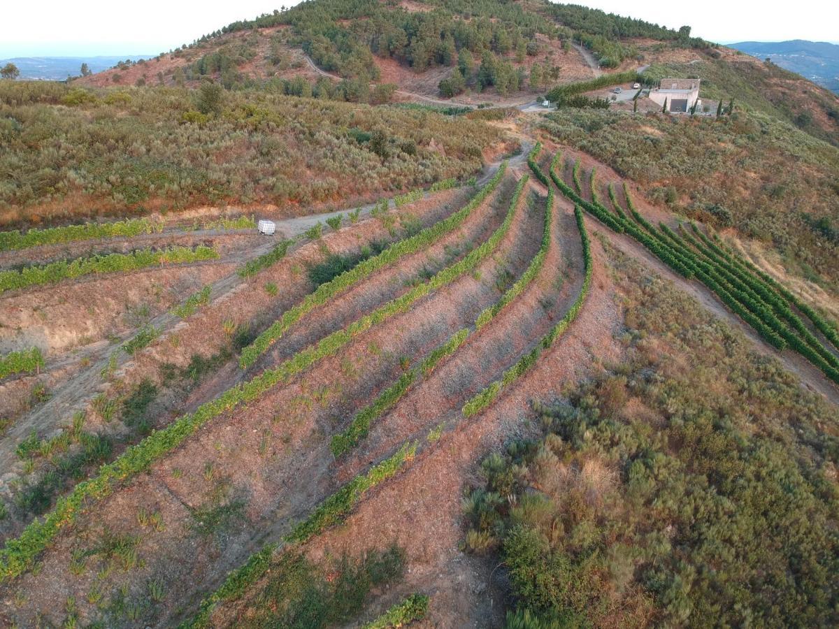 Stay At The Winemaker Ervedosa do Douro Extérieur photo