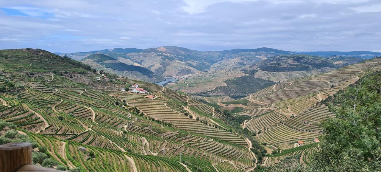 Stay At The Winemaker Ervedosa do Douro Extérieur photo