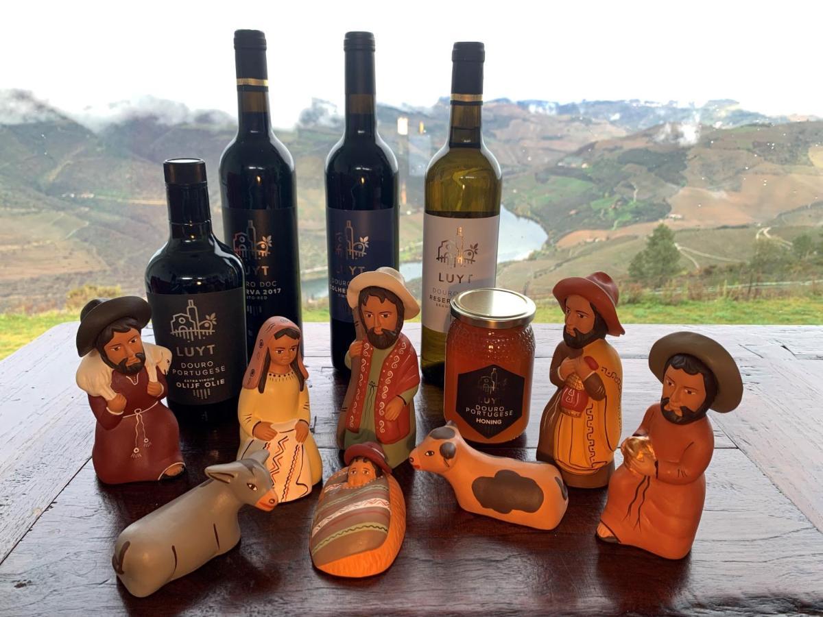 Stay At The Winemaker Ervedosa do Douro Extérieur photo