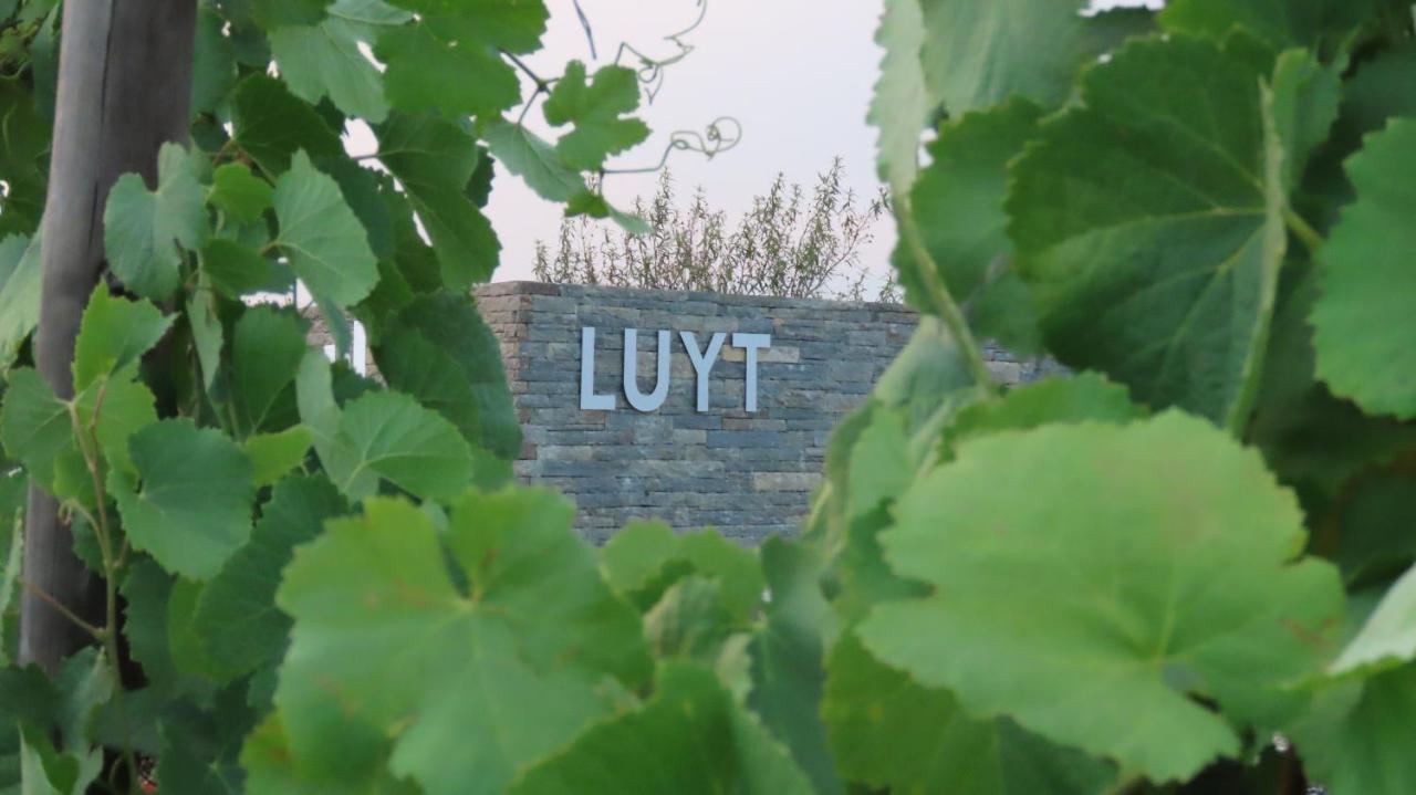 Stay At The Winemaker Ervedosa do Douro Extérieur photo
